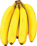 banana_creative_commons_wikipedia